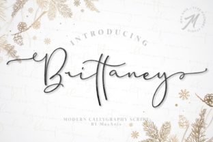 Brittaney: A Modern Font for Editorial Elegance