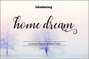 Home Dream Script for Creative Campaigns and Brand Identity