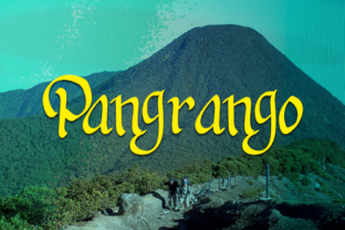 Pangrango: A Script Handwritten Font for Creative Branding